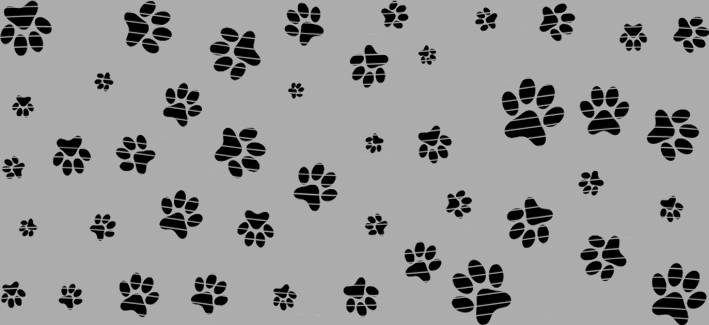 16oz Element-EN-2163